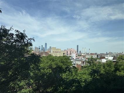 201 Clinton Avenue 7-A Clinton Hill Brooklyn NY 11205