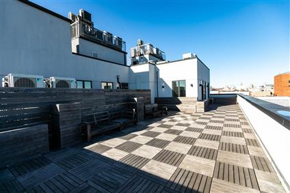 323 East 19th Street 3-E Ditmas Park Brooklyn NY 11226