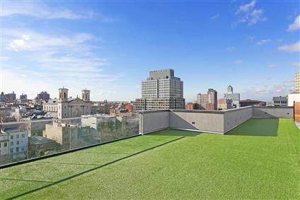 555 Waverly Avenue 4-H Clinton Hill Brooklyn NY 11238